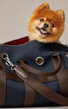 ����1.8������2.8���ݳ�Ʒ�Ƶĳ���ϵ�к�����