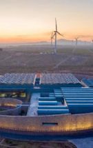 ���Ҽ�ʵ�����������&nbsp;���ܺ���ɽ��´���ѾƲ�ҵ���·�չ